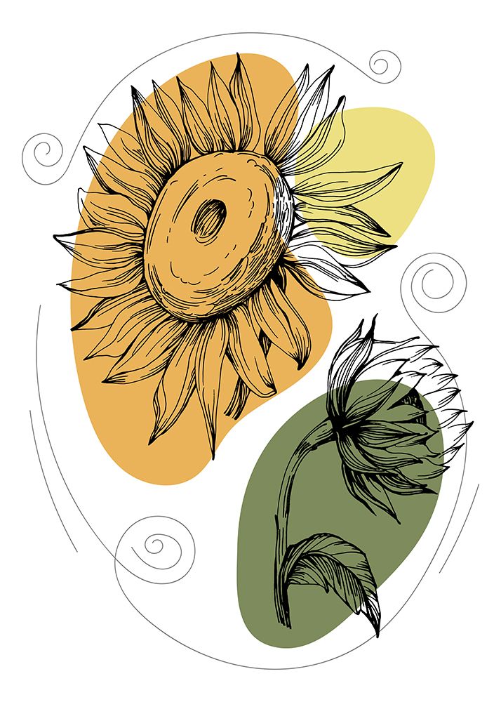 Sunflower minimal art art print by AcantStudio for $57.95 CAD