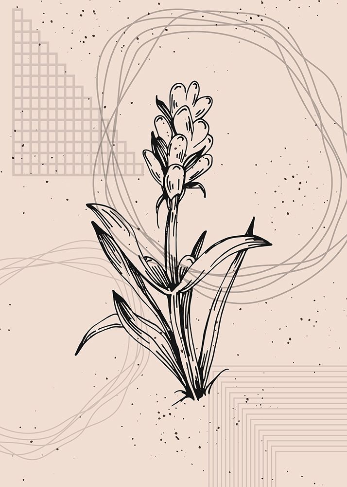 Lavender flowers art print by AcantStudio for $57.95 CAD