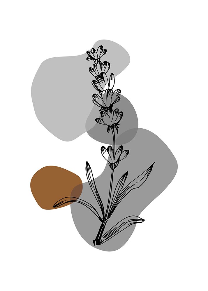 Lavender flowers art print by AcantStudio for $57.95 CAD