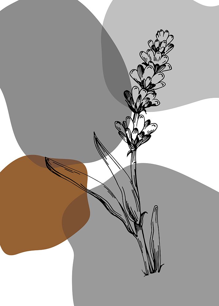 Lavender flowers art print by AcantStudio for $57.95 CAD