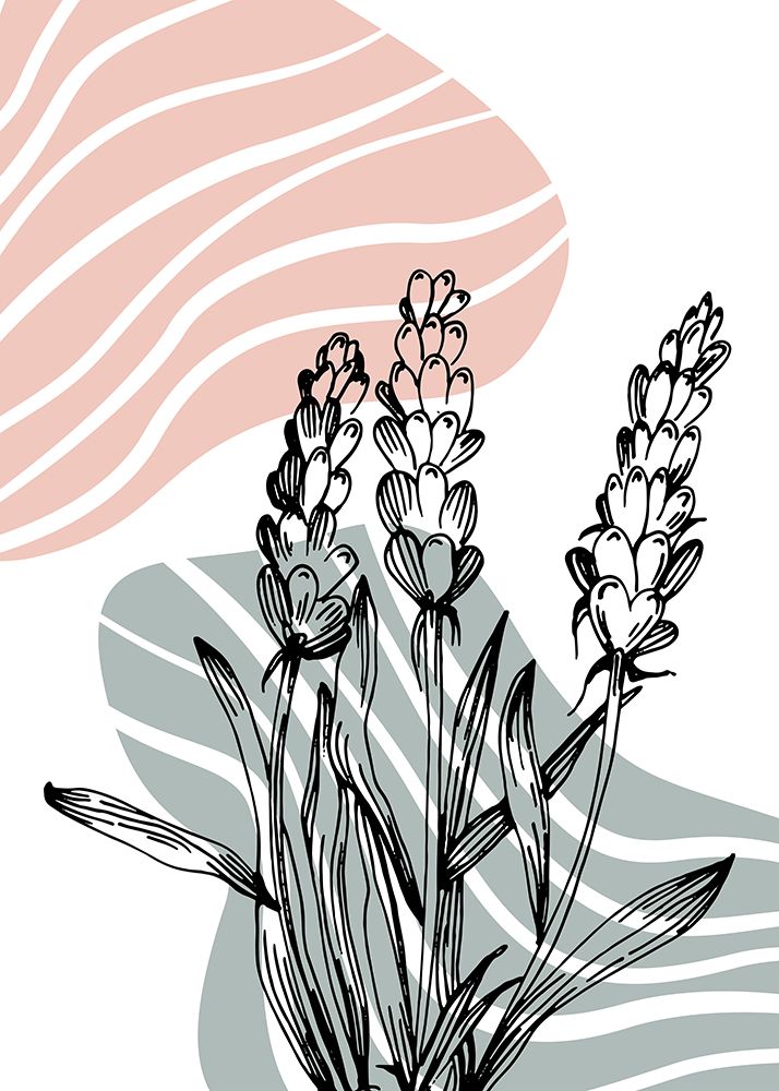 Lavender flowers art print by AcantStudio for $57.95 CAD