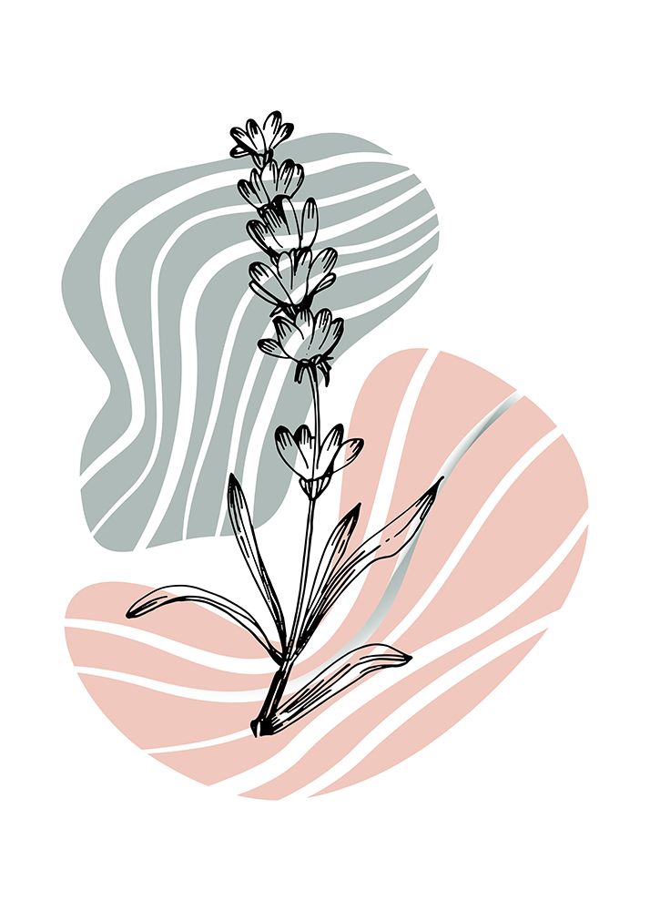 Lavender flowers art print by AcantStudio for $57.95 CAD