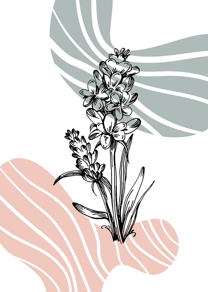 Lavender flowers art print by AcantStudio for $57.95 CAD