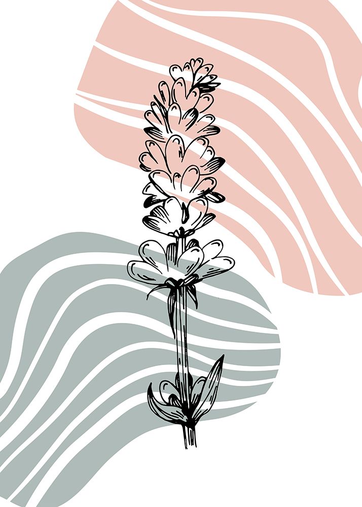 Lavender flowers art print by AcantStudio for $57.95 CAD