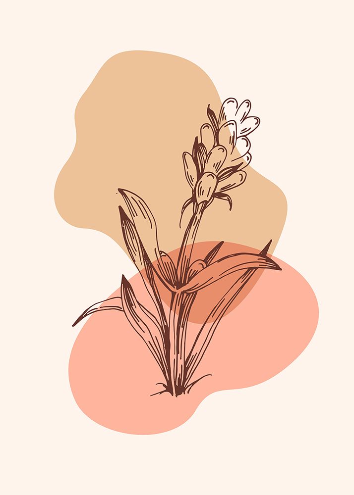 Lavender flowers art print by AcantStudio for $57.95 CAD