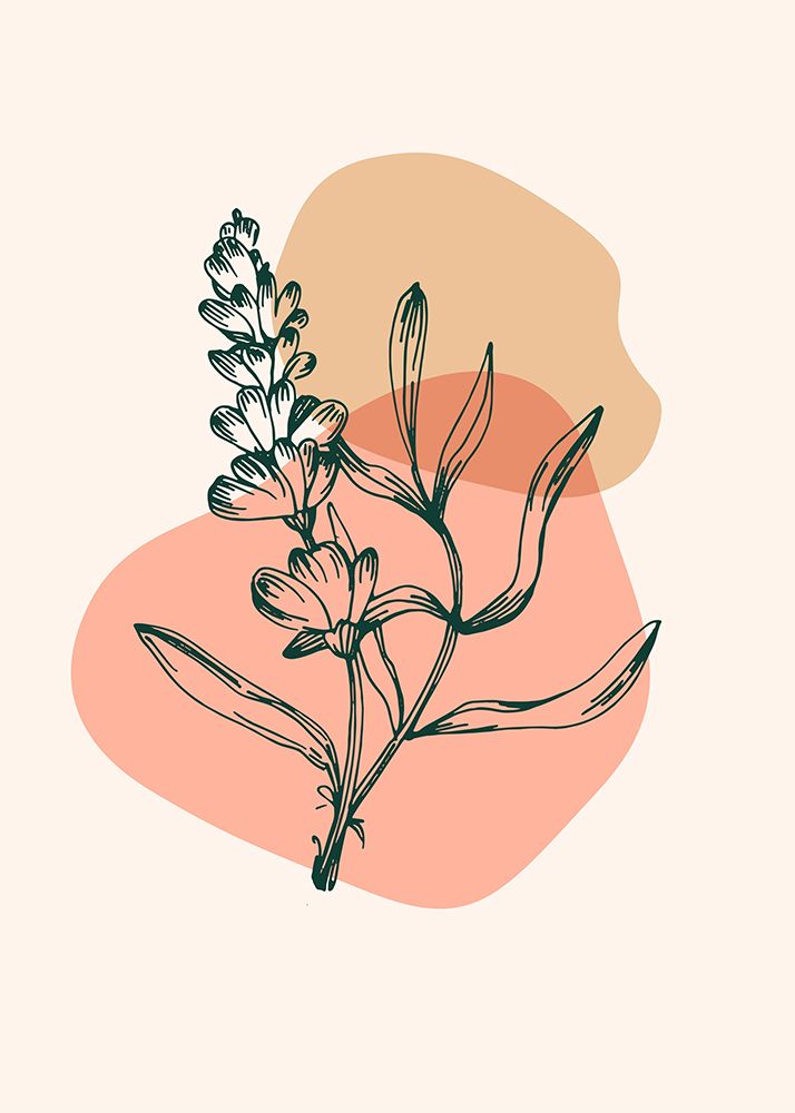 Lavender flowers art print by AcantStudio for $57.95 CAD