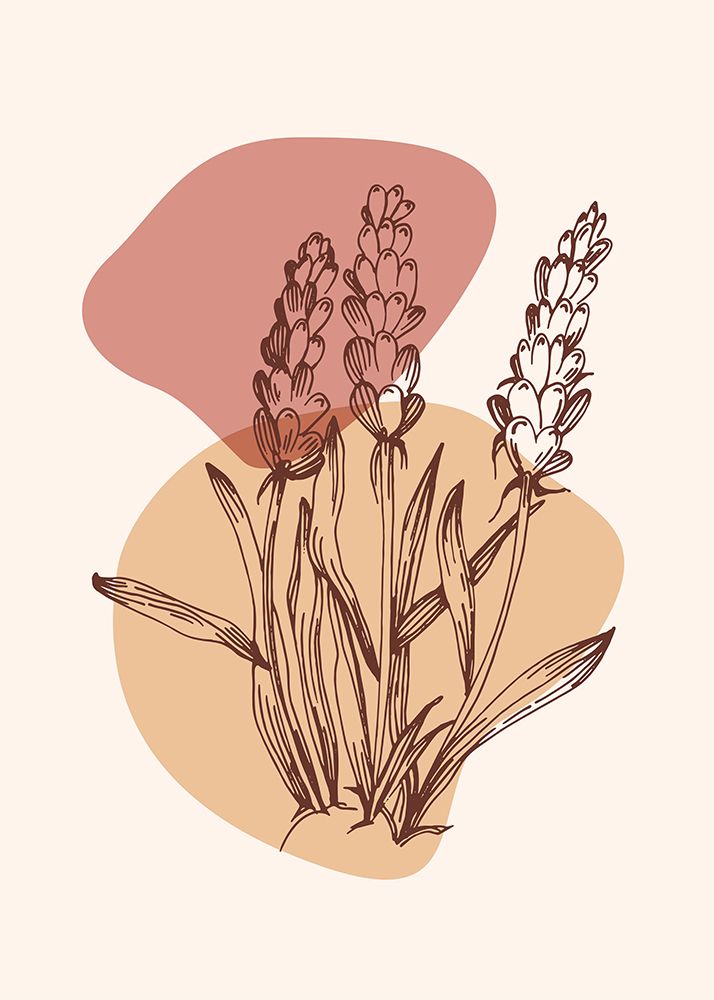 Lavender flowers art print by AcantStudio for $57.95 CAD