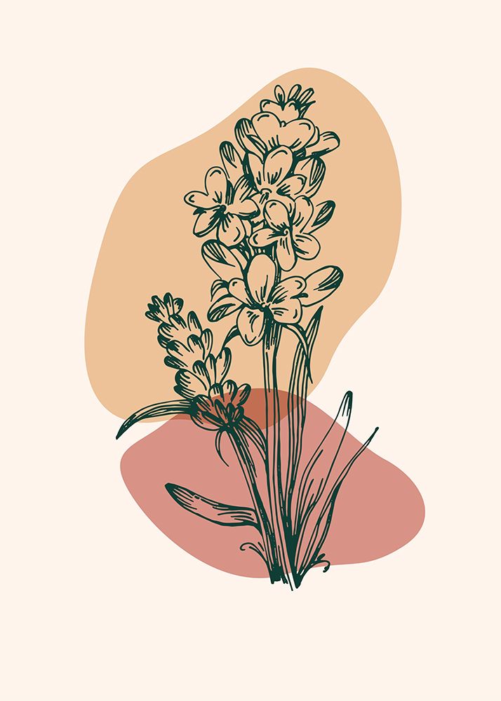 Lavender flowers art print by AcantStudio for $57.95 CAD