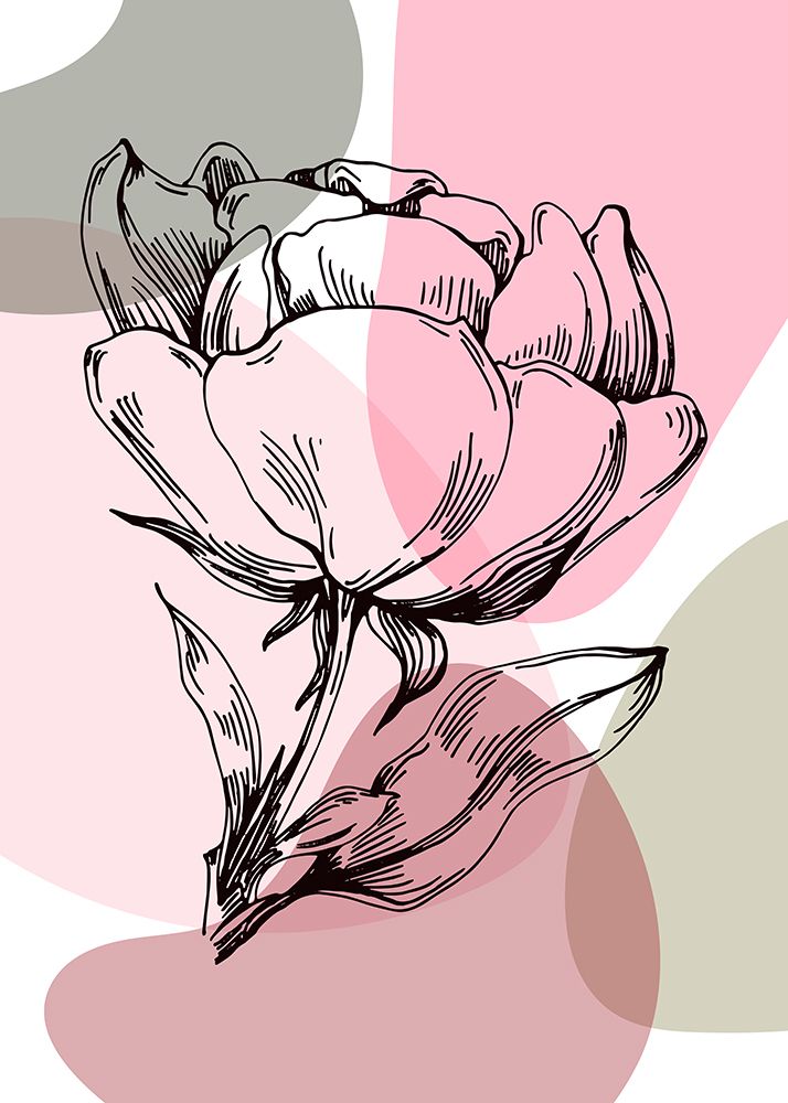 Peonies flowers minimal art art print by AcantStudio for $57.95 CAD