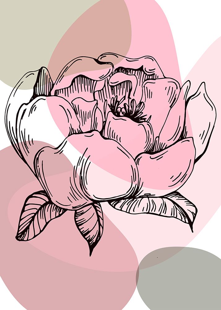 Peonies flowers minimal art art print by AcantStudio for $57.95 CAD