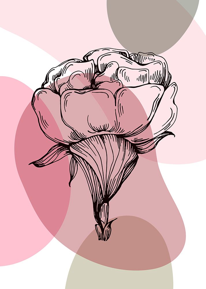 Peonies flowers minimal art art print by AcantStudio for $57.95 CAD