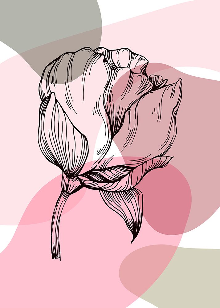 Peonies flowers minimal art art print by AcantStudio for $57.95 CAD