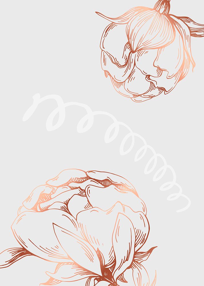 Peonies flowers minimal art art print by AcantStudio for $57.95 CAD