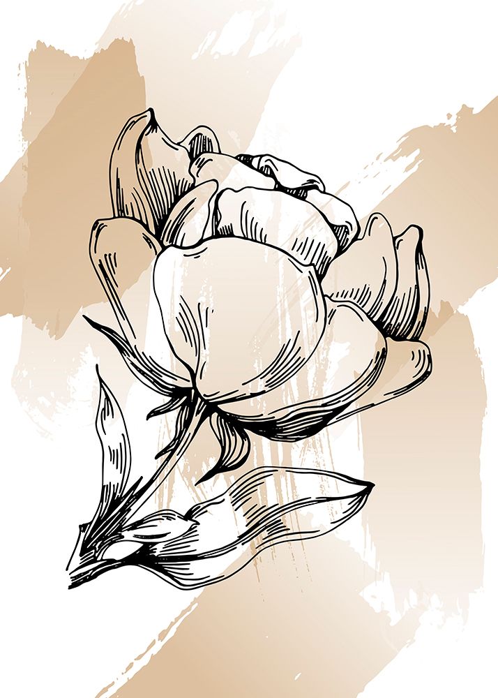 Peonies flowers minimal art art print by AcantStudio for $57.95 CAD