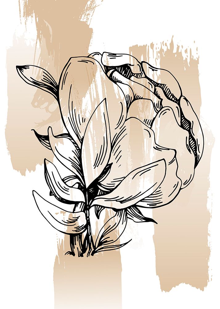Peonies flowers minimal art art print by AcantStudio for $57.95 CAD