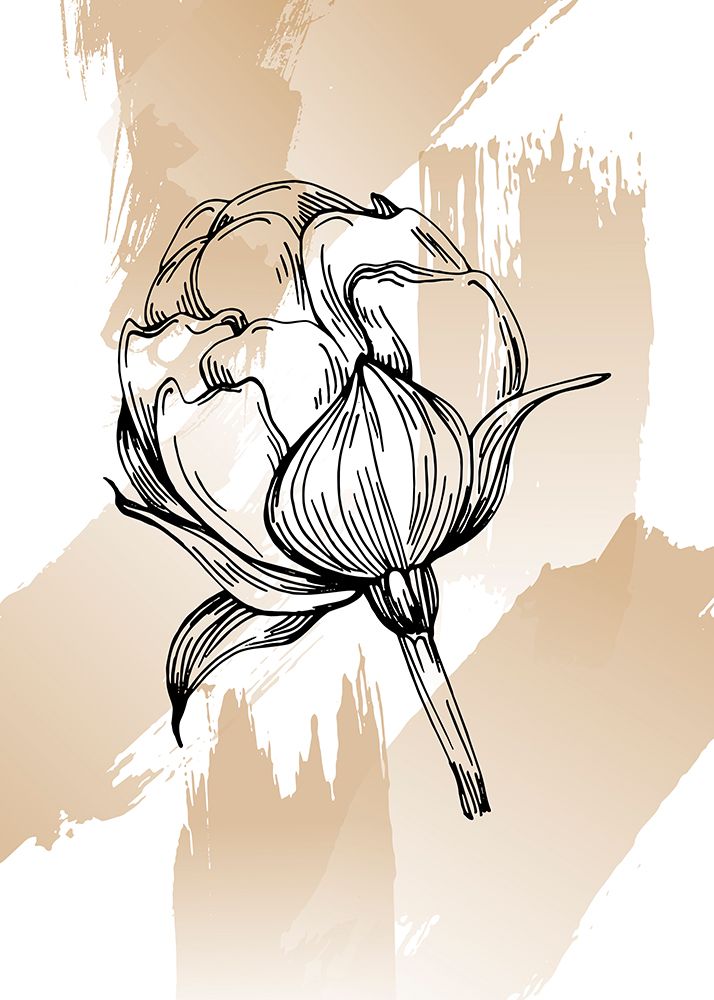 Peonies flowers minimal art art print by AcantStudio for $57.95 CAD