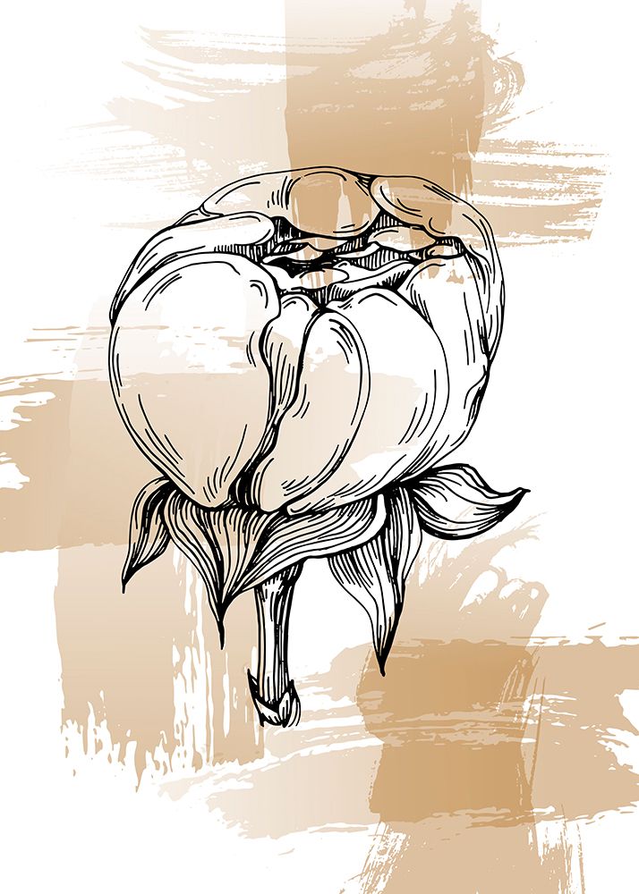 Peonies flowers minimal art art print by AcantStudio for $57.95 CAD