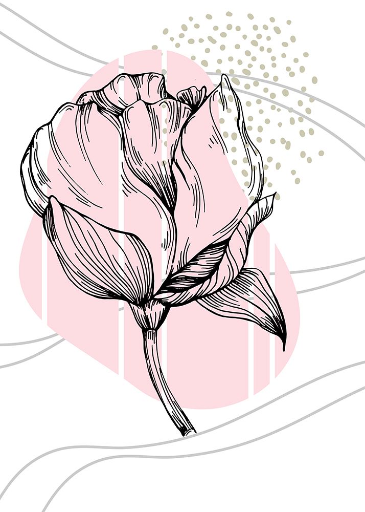 Peonies flowers minimal art art print by AcantStudio for $57.95 CAD