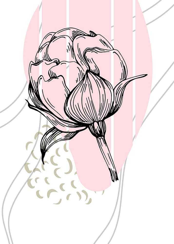 Peonies flowers minimal art art print by AcantStudio for $57.95 CAD
