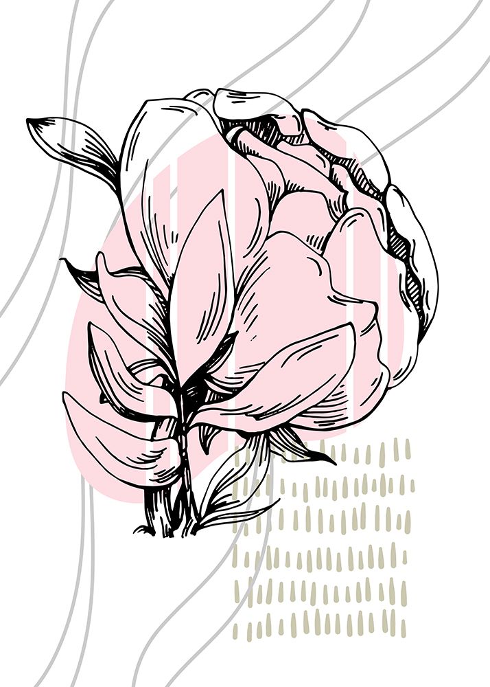 Peonies flowers minimal art art print by AcantStudio for $57.95 CAD