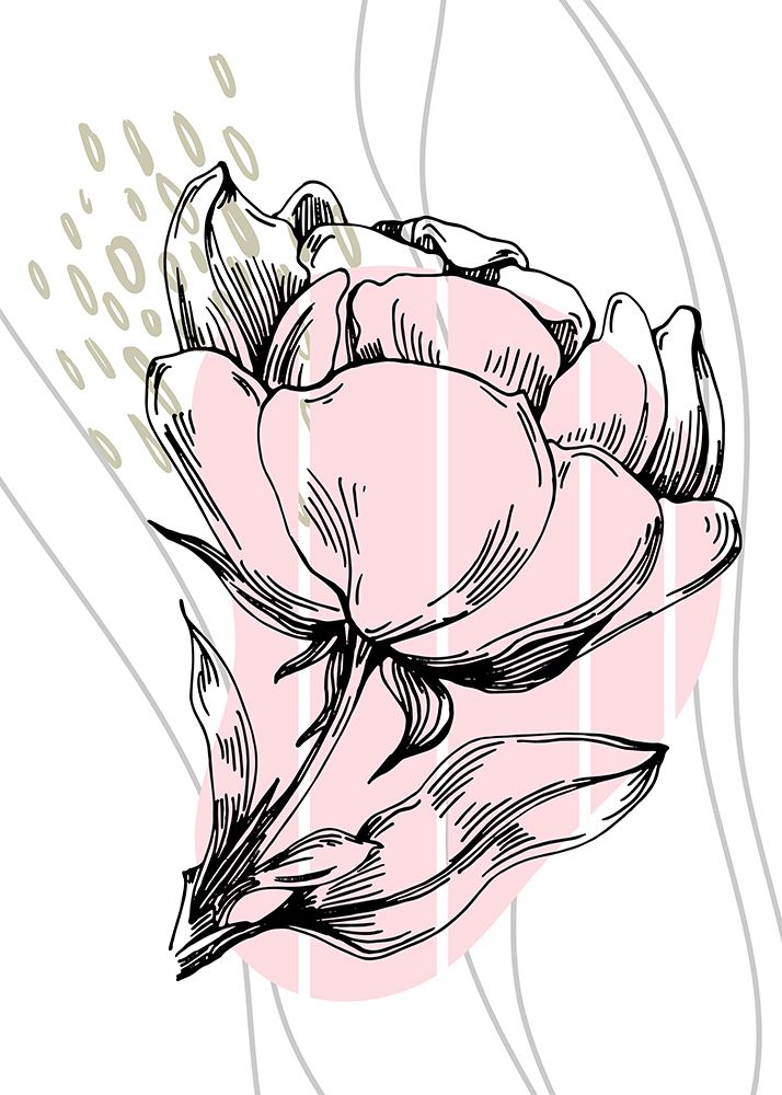 Peonies flowers minimal art art print by AcantStudio for $57.95 CAD
