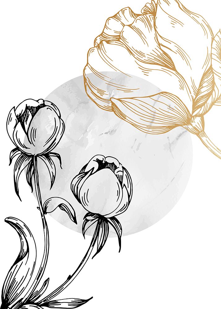 Peonies flowers minimal art art print by AcantStudio for $57.95 CAD