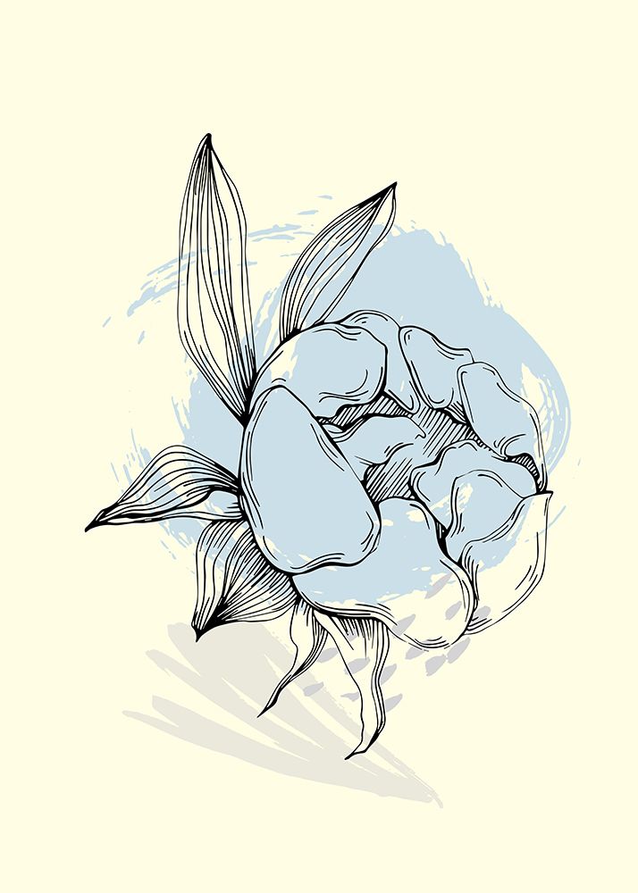 Peonies flowers minimal art art print by AcantStudio for $57.95 CAD