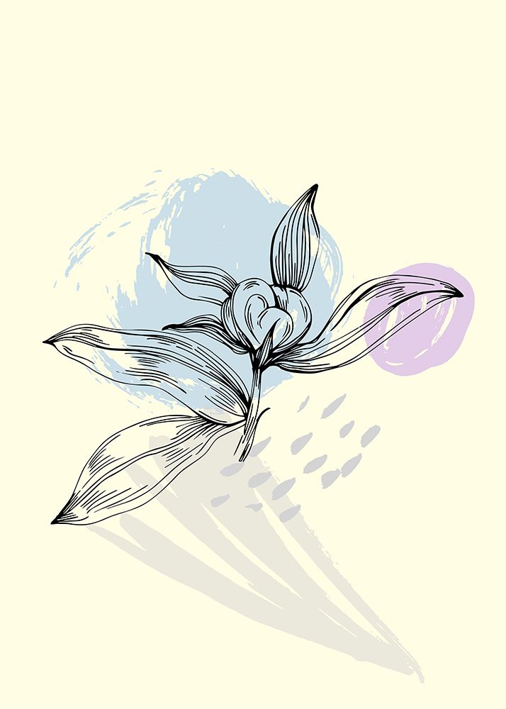 Peonies flowers minimal art art print by AcantStudio for $57.95 CAD