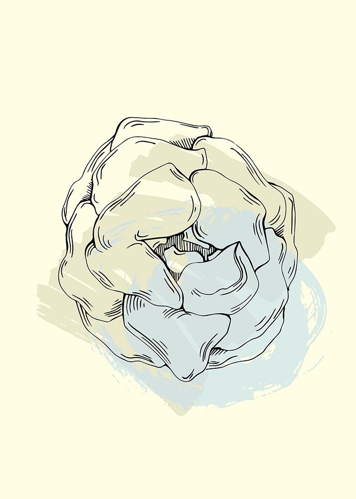 Peonies flowers minimal art art print by AcantStudio for $57.95 CAD