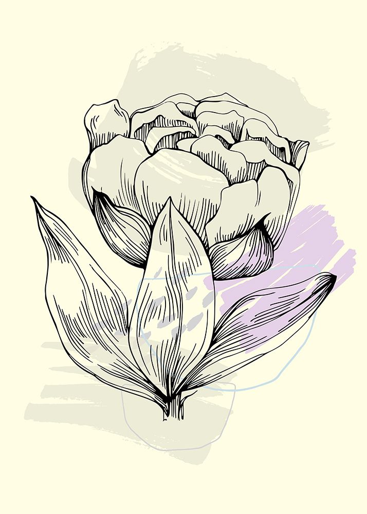 Peonies flowers minimal art art print by AcantStudio for $57.95 CAD