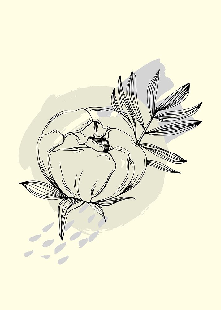 Peonies flowers minimal art art print by AcantStudio for $57.95 CAD