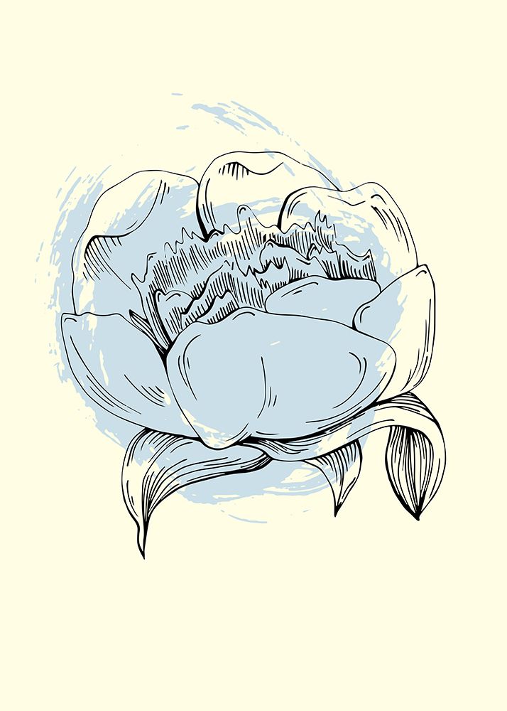 Peonies flowers minimal art art print by AcantStudio for $57.95 CAD