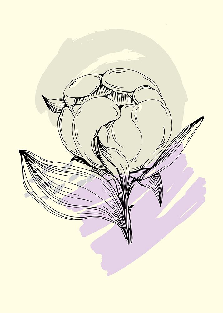 Peonies flowers minimal art art print by AcantStudio for $57.95 CAD