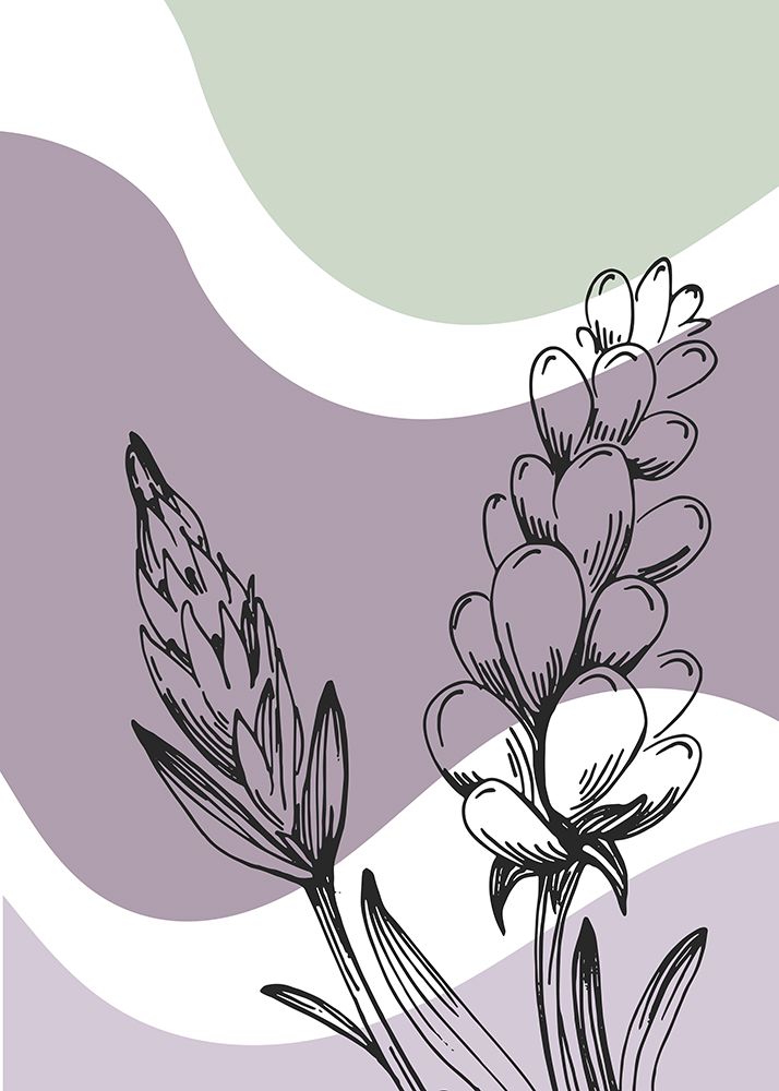 Lavender flowers art print by AcantStudio for $57.95 CAD