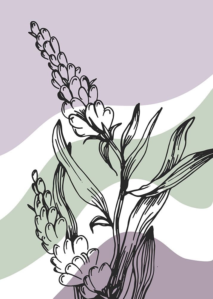 Lavender flowers art print by AcantStudio for $57.95 CAD