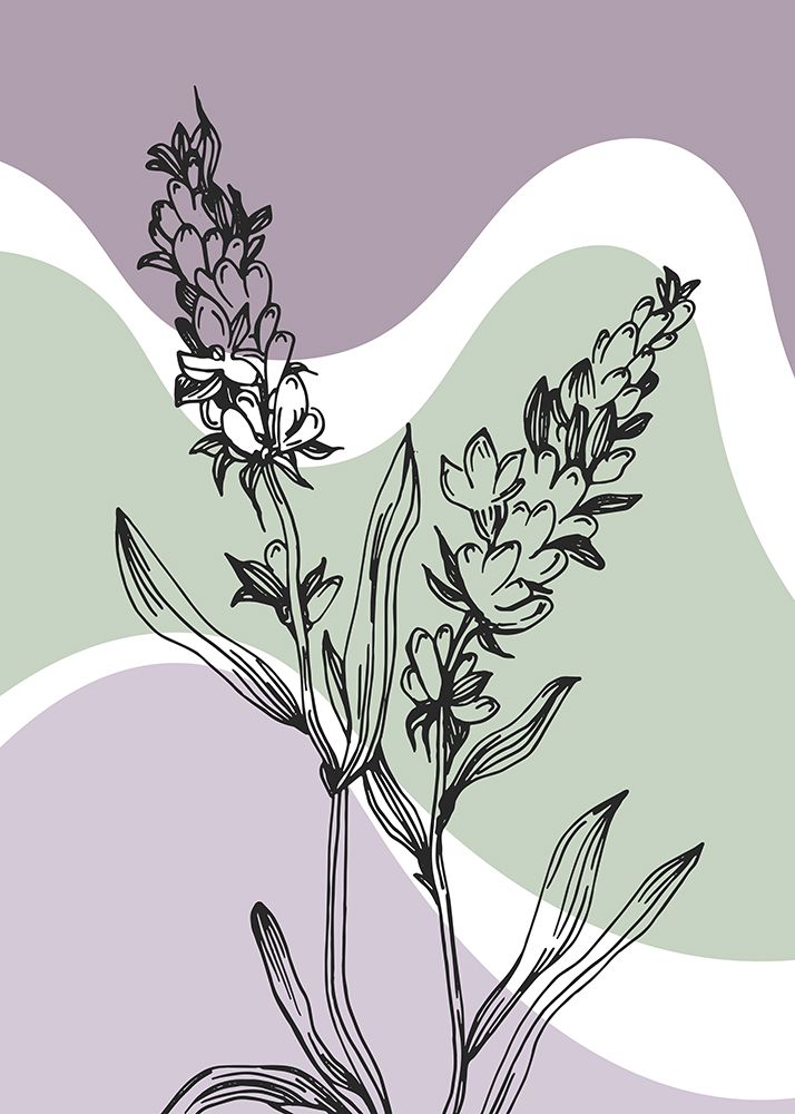 Lavender flowers art print by AcantStudio for $57.95 CAD