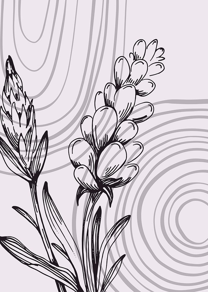 Lavender flowers art print by AcantStudio for $57.95 CAD