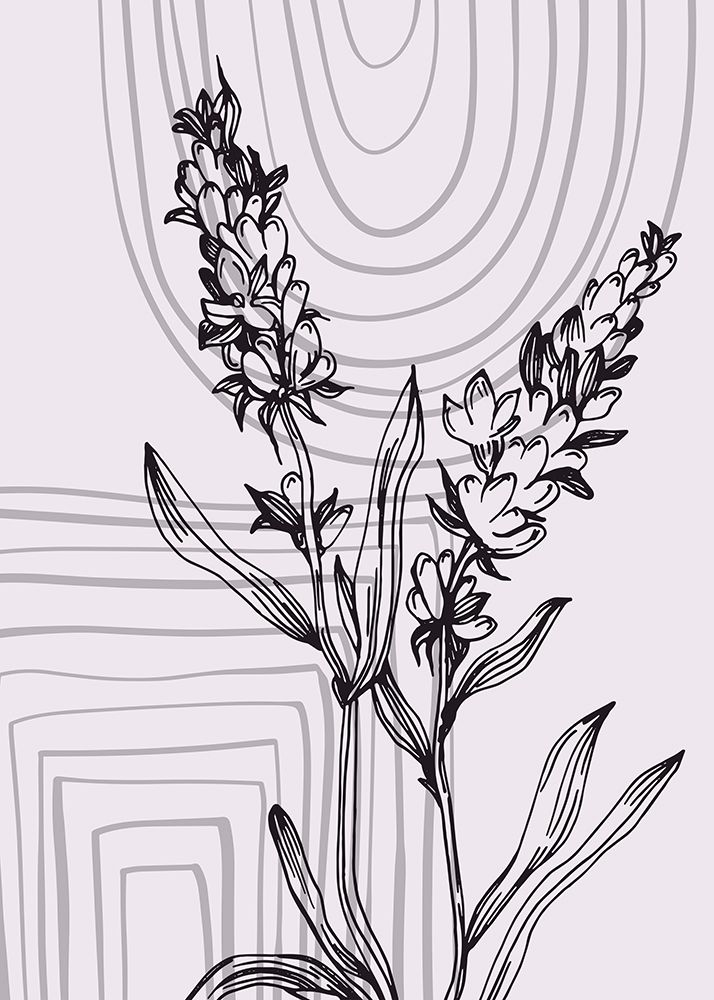 Lavender flowers art print by AcantStudio for $57.95 CAD