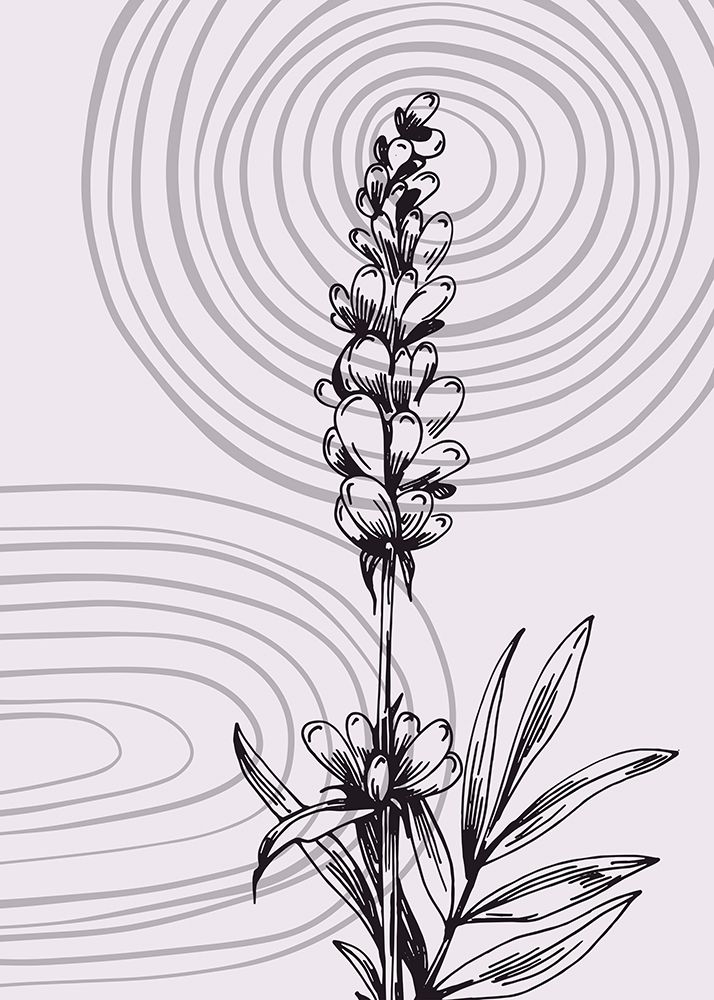 Lavender flowers art print by AcantStudio for $57.95 CAD