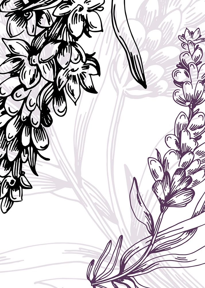 Lavender flowers art print by AcantStudio for $57.95 CAD