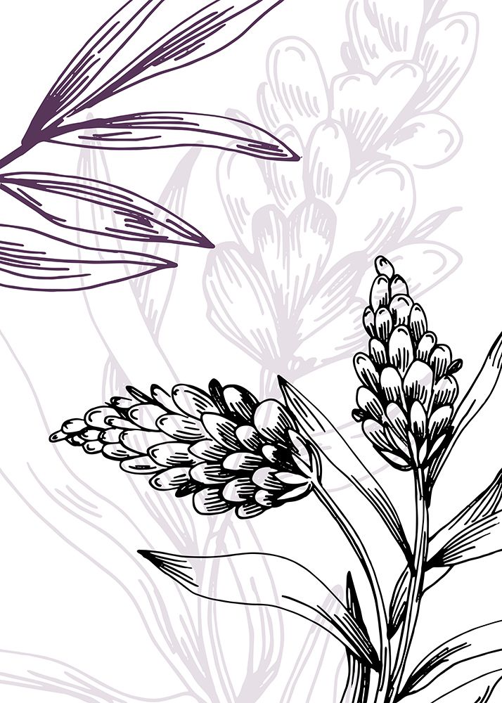 Lavender flowers art print by AcantStudio for $57.95 CAD