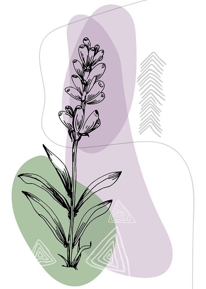 Lavender flowers art print by AcantStudio for $57.95 CAD