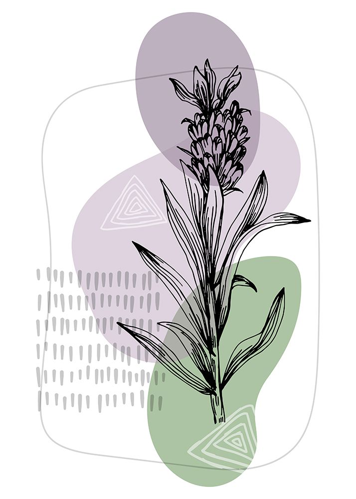 Lavender flowers art print by AcantStudio for $57.95 CAD