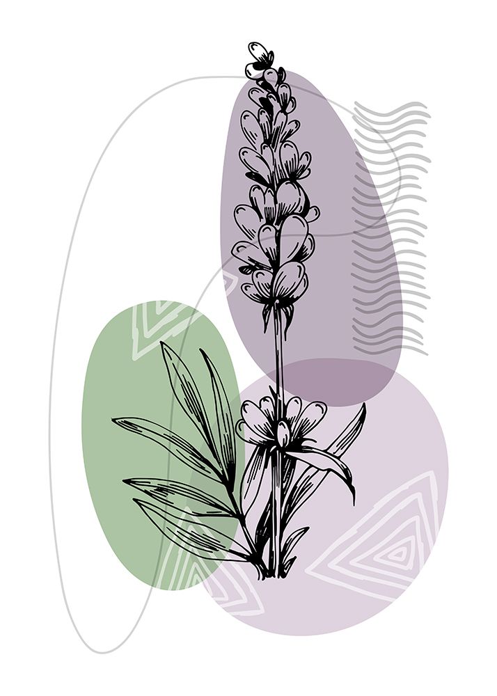 Lavender flowers art print by AcantStudio for $57.95 CAD