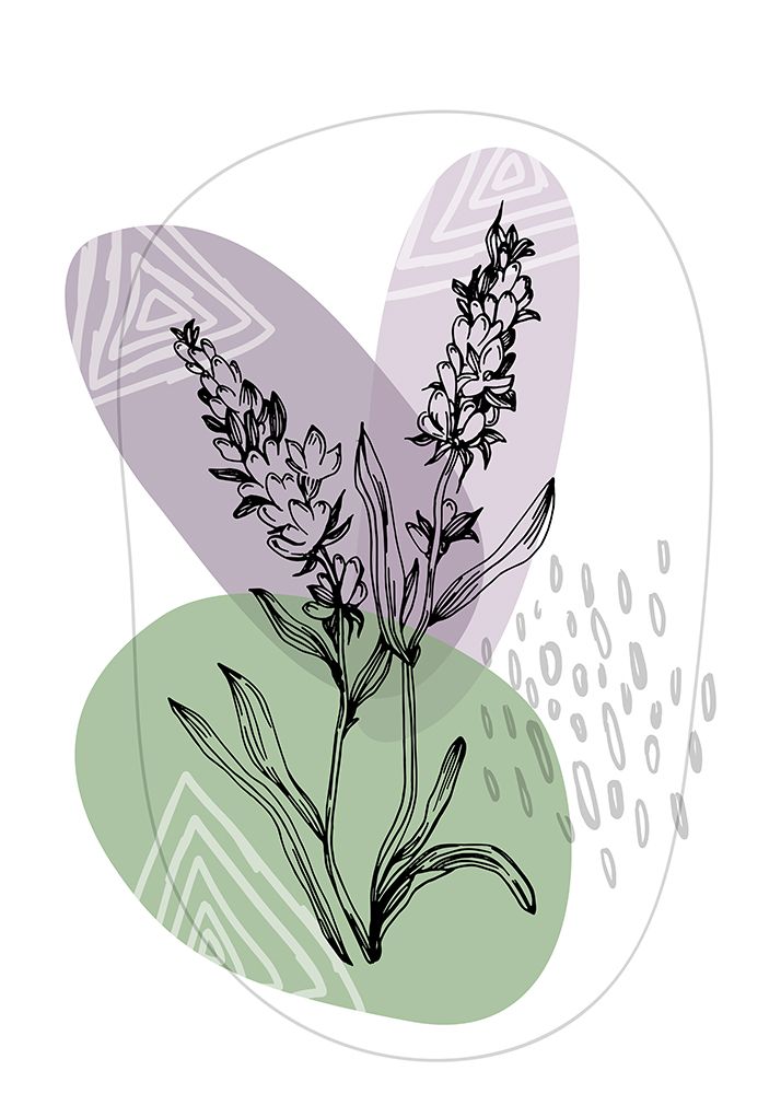 Lavender flowers art print by AcantStudio for $57.95 CAD