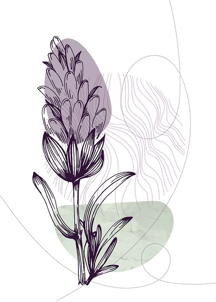 Lavender flowers art print by AcantStudio for $57.95 CAD