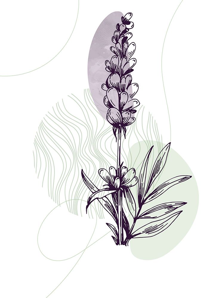 Lavender flowers art print by AcantStudio for $57.95 CAD