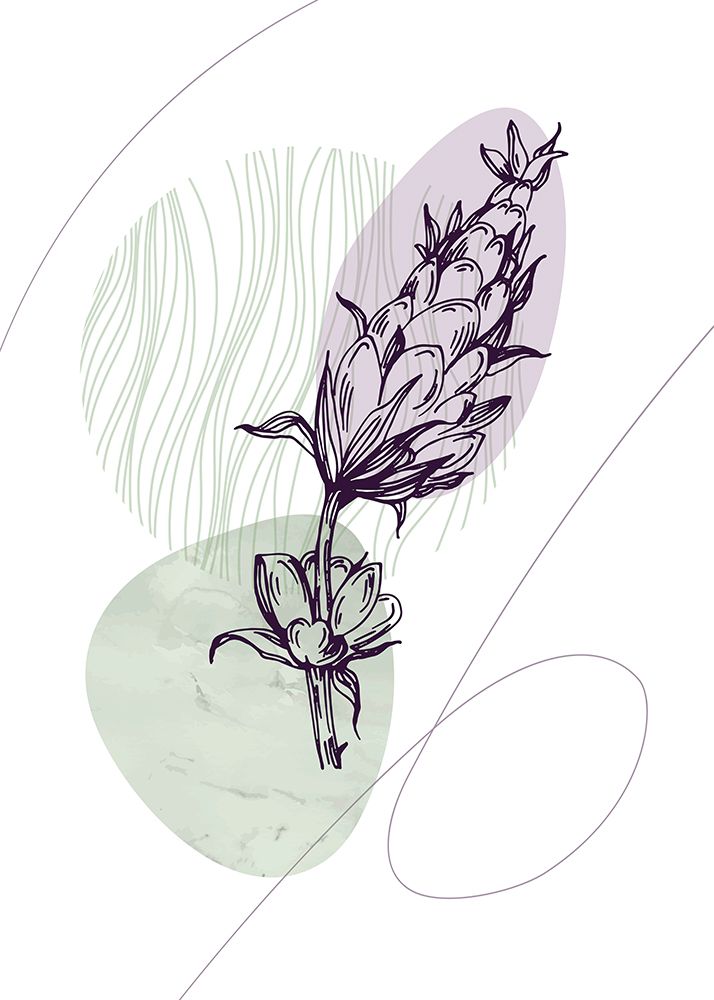 Lavender flowers art print by AcantStudio for $57.95 CAD