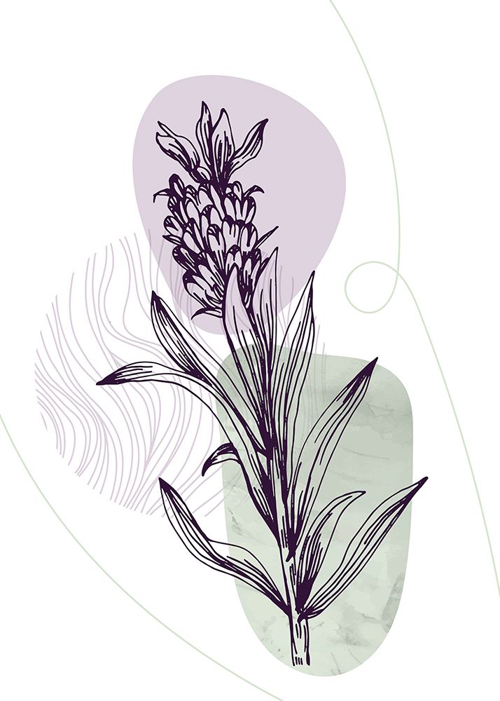 Lavender flowers art print by AcantStudio for $57.95 CAD
