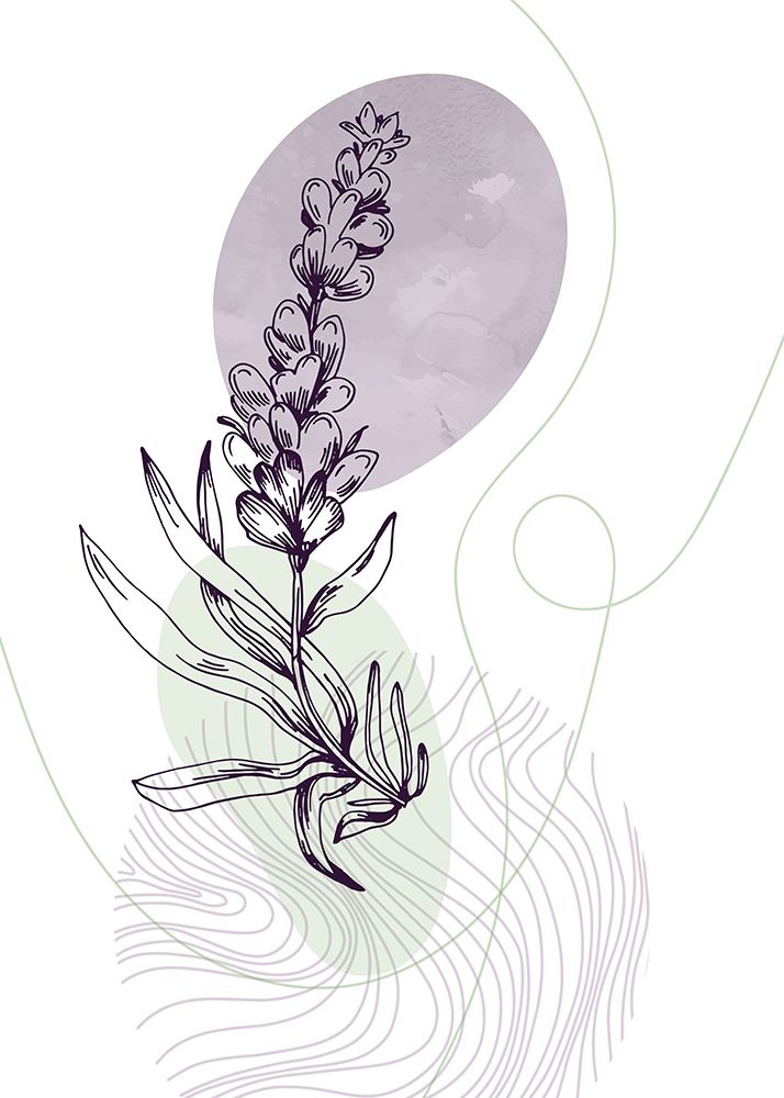 Lavender flowers art print by AcantStudio for $57.95 CAD